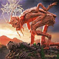 Terrasite - Cattle Decapitation Cd Album V210-2832367