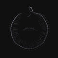 A Sign Of Things To Come - Sylosis Cd Album V210-2853778