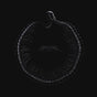 A Sign Of Things To Come - Sylosis Cd Album V210-2853778