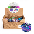 Gemstone Mini Aura Quartz Cluster (SENT AT RANDOM) V210-2900673