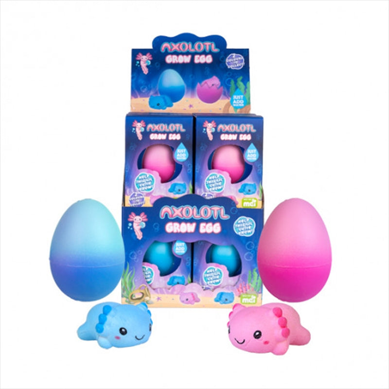 Growing Axolotl Egg V210-2990333