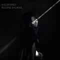 Wildfires - Rising Insane Cd Album V210-3016089