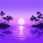 Paradise - Purple Disco Machine Cd Album V210-3066456