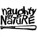 Greatest Hits - Naughty By Nature Cd Album V210-3145477