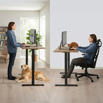 FORTIA Sit to Stand Standing Desk, 160x60cm, 72-118cm Electric Height Adjustable, Walnut Style Desktop/Black V219-ADKSSTFO6WLKB