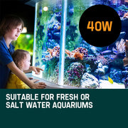 PROTEGE Aquarium External Canister Filter Aqua Fish Tank Pond Pump UV Light 1850 L/H V219-AQUEFPPROA4M0