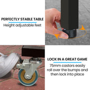 Proflex Premium Outdoor Table Tennis Table, with 4 Player Ping Pong Paddle and Pingpong Ball Pack V219-ATHTTBPFT2OA