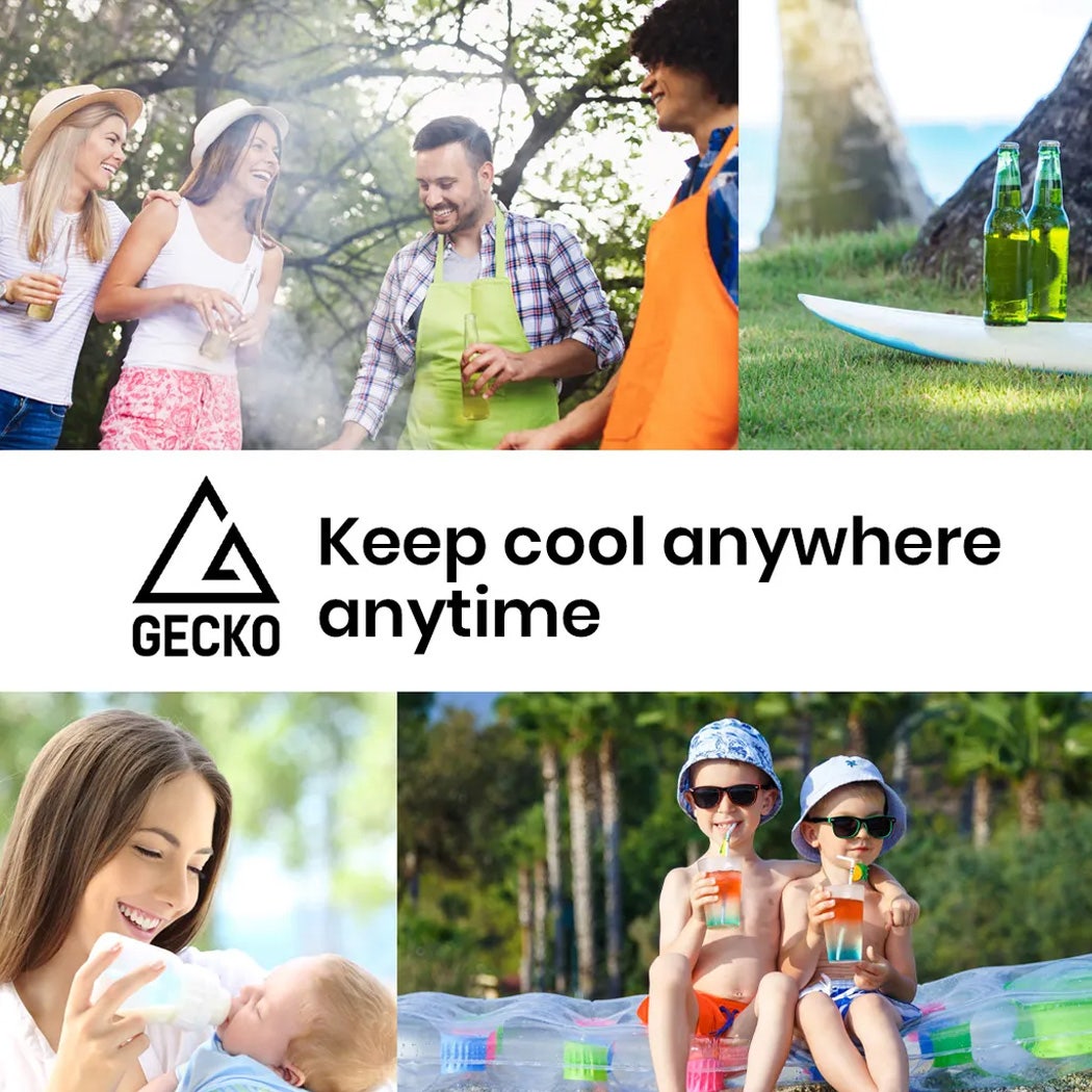 GECKO 125L Portable Upright Fridge, 12V/24V for Motorhome, Caravan, Silver V219-CAPFFRGEKA13S