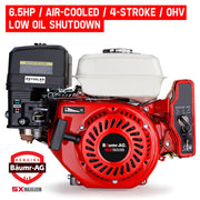 Baumr-AG 6.5HP Petrol Engine Stationary Motor OHV Horizontal Shaft Electric Start Recoil V219-ENGPTLBMRC20E