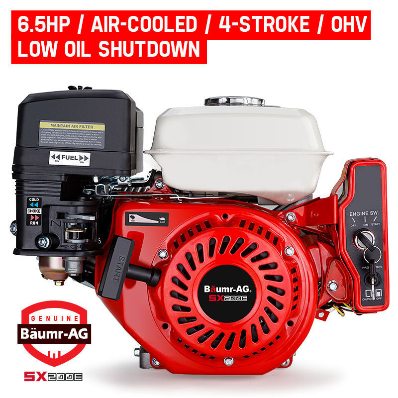 Baumr-AG 6.5HP Petrol Engine Stationary Motor OHV Horizontal Shaft Electric Start Recoil V219-ENGPTLBMRC20E