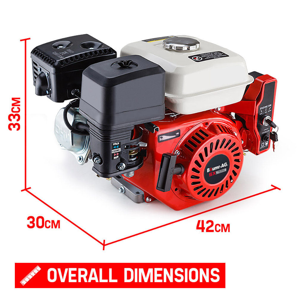 Baumr-AG 6.5HP Petrol Engine Stationary Motor OHV Horizontal Shaft Electric Start Recoil V219-ENGPTLBMRC20E