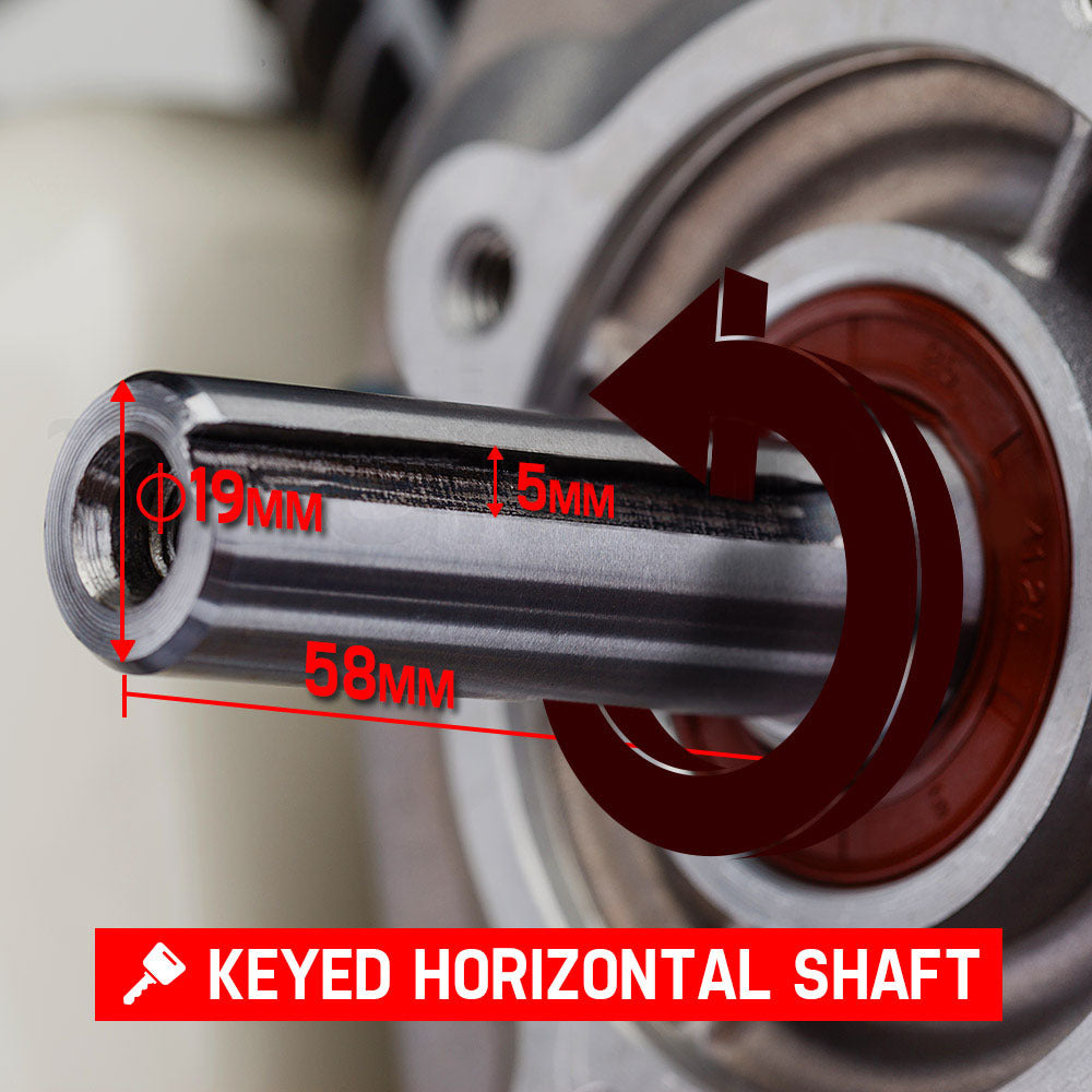 Baumr-AG 6.5HP Petrol Stationary Engine Motor 4-Stroke OHV Horizontal Shaft Recoil Start V219-ENGPTLBMRC20R