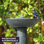 Protege Bird Bath Solar Water Feature Fountain, Contemporary Birdbath Design, with Panel Kit, LED Lights, V219-FPKCTPPTB1LA