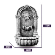 PROTEGE Lion Head Solar Powered Water Feature Fountain, Traditional Design, with Panel Kit, LED Lights V219-FPKWMTPTL1LA
