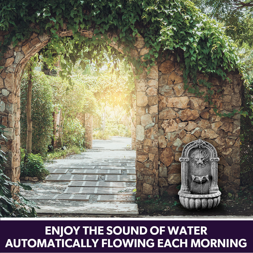 PROTEGE Lion Head Solar Powered Water Feature Fountain, Traditional Design, with Panel Kit, LED Lights V219-FPKWMTPTL1LA