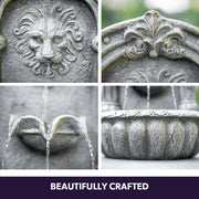 PROTEGE Lion Head Solar Powered Water Feature Fountain, Traditional Design, with Panel Kit, LED Lights V219-FPKWMTPTL1LA