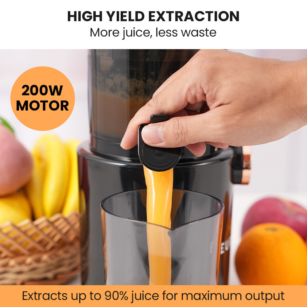 EUROCHEF Cold Press Slow Juicer Machine, Large Chute, 200W, Charcoal Grey V219-INCJCPEC15KA