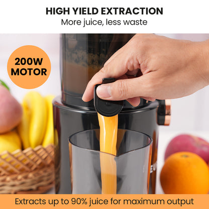 EUROCHEF Cold Press Slow Juicer Machine, Large Chute, 200W, Charcoal Grey V219-INCJCPEC15KA