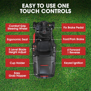 BAUMR-AG 24" Ride On Lawn Mower, Lithium Electric Start System, 6HP 224cc, 5 Cut Heights, Catcher and Mulch V219-MOWRIDBMP24A