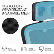 FORTIA Ergonomic Office Desk Chair, Lumbar Support, Mesh Fabric, Adjustable Headrest, Retractable Armrests, V219-OFFOCRFOE2HKA