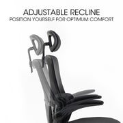 FORTIA Ergonomic Office Desk Chair, Lumbar Support, Mesh Fabric, Adjustable Headrest, Retractable Armrests, V219-OFFOCRFOE2HKA