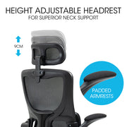 FORTIA Ergonomic Office Desk Chair, Lumbar Support, Mesh Fabric, Adjustable Headrest, Retractable Armrests, V219-OFFOCRFOE2HKA