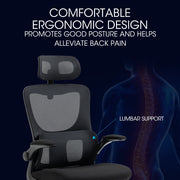 FORTIA Ergonomic Office Desk Chair, Lumbar Support, Mesh Fabric, Adjustable Headrest, Retractable Armrests, V219-OFFOCRFOE2HKA