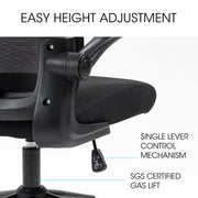 FORTIA Ergonomic Office Desk Chair, Lumbar Support, Mesh Fabric, Adjustable Headrest, Retractable Armrests, V219-OFFOCRFOE2HKA
