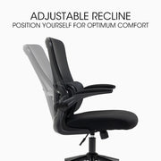 FORTIA Ergonomic Mesh Office Chair Computer Seat Adjustable Recline, Black V219-OFFOCRFOE2NKA