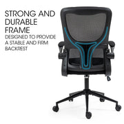FORTIA Ergonomic Mesh Office Chair Computer Seat Adjustable Recline, Black V219-OFFOCRFOE2NKA