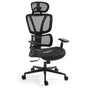 Fortia Ergonomic Office Desk Chair, Coolmesh Fabric, Adjustable Lumbar Support, Headrest, Armrest and V219-OFFOCRFOE6KA