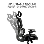 Fortia Ergonomic Office Desk Chair, Coolmesh Fabric, Adjustable Lumbar Support, Headrest, Armrest and V219-OFFOCRFOE6KA