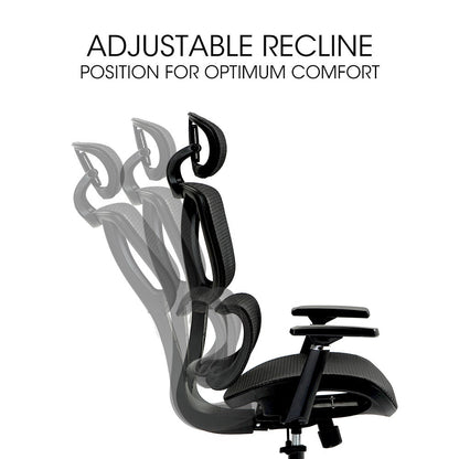 Fortia Ergonomic Office Desk Chair, Coolmesh Fabric, Adjustable Lumbar Support, Headrest, Armrest and V219-OFFOCRFOE6KA