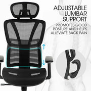 Fortia Ergonomic Office Desk Chair, Coolmesh Fabric, Adjustable Lumbar Support, Headrest, Armrest and V219-OFFOCRFOE6KA