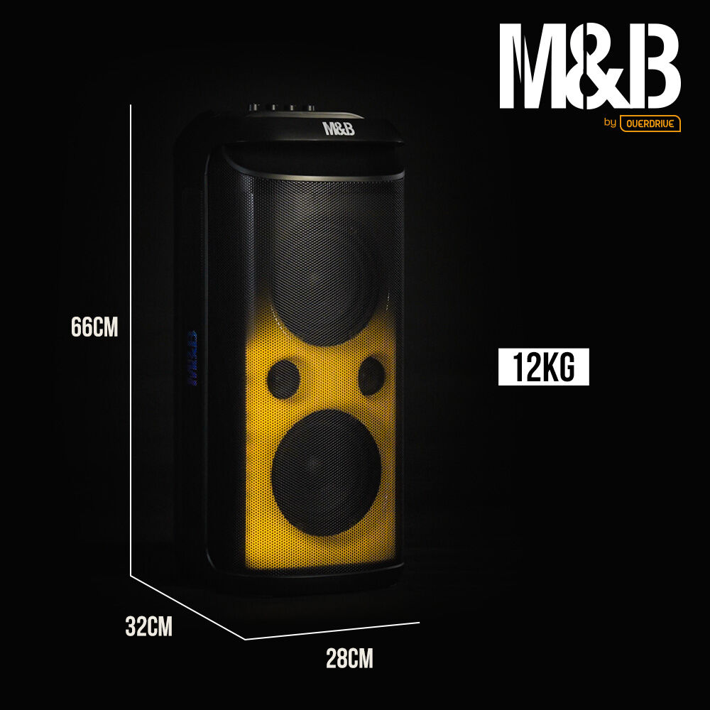 M&B Portable Splash Proof 120W Bluetooth Party Speaker with Karaoke Microphone, IPX4, TWS Pairing, V219-PESSPROVS62A
