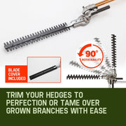 BAUMR-AG 65cc 7in1 Long Reach Garden Multi-tool, Pole Saw, Hedge & Line Trimmer, Brush Cutter, 12" Tree V219-PLTL71BMRA7C2