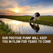 Protege 3HP Submersible Bore Water Pump Deep Well Irrigation Stainless Steel 240V V219-PTGWPDEP3095