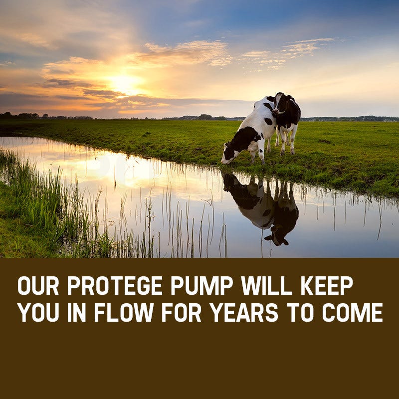 Protege 3HP Submersible Bore Water Pump Deep Well Irrigation Stainless Steel 240V V219-PTGWPDEP3095