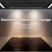 EUROCHEF 60cm Undermount Rangehood Black, Quiet 3-Speed, 3-Layer Dishwashable Filter, LED Lights EUR60B V219-RGHUDREC6BFA