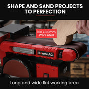 BAUMR-AG Bench Belt and Disc Sander Combo, 100mm Linisher + 150mm Disc, S1 Rated 400W Brushless Motor, V219-SNDBELBMS55A