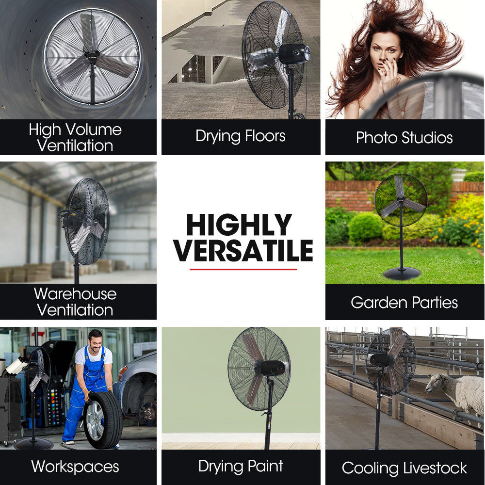BAUMR-AG 30" 762mm 300W Industrial Pedestal Fan, Large, Commercial, Heavy-duty, 3 Speed, EESS Certified V219-SPCAIRBM30PA