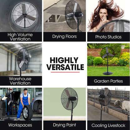 BAUMR-AG 30" 762mm 300W Industrial Pedestal Fan, Large, Commercial, Heavy-duty, 3 Speed, EESS Certified V219-SPCAIRBM30PA