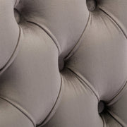 AADEN 2x Velvet Dining Chairs with Golden Metal Legs-Grey V226-SW1501GY