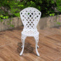 Remy Aluminium Chair V231-CAC-039 WHITE