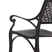Cherise Cast Aluminium Chairs with Cushions (1 pair) V231-CAC-05 BRZ 1 PAIR