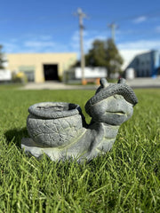 Snail with pot Planter V231-MP-034