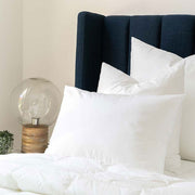 MicroCloud Cushion Insert 40cm x 55cm V236-E2P-MC4055