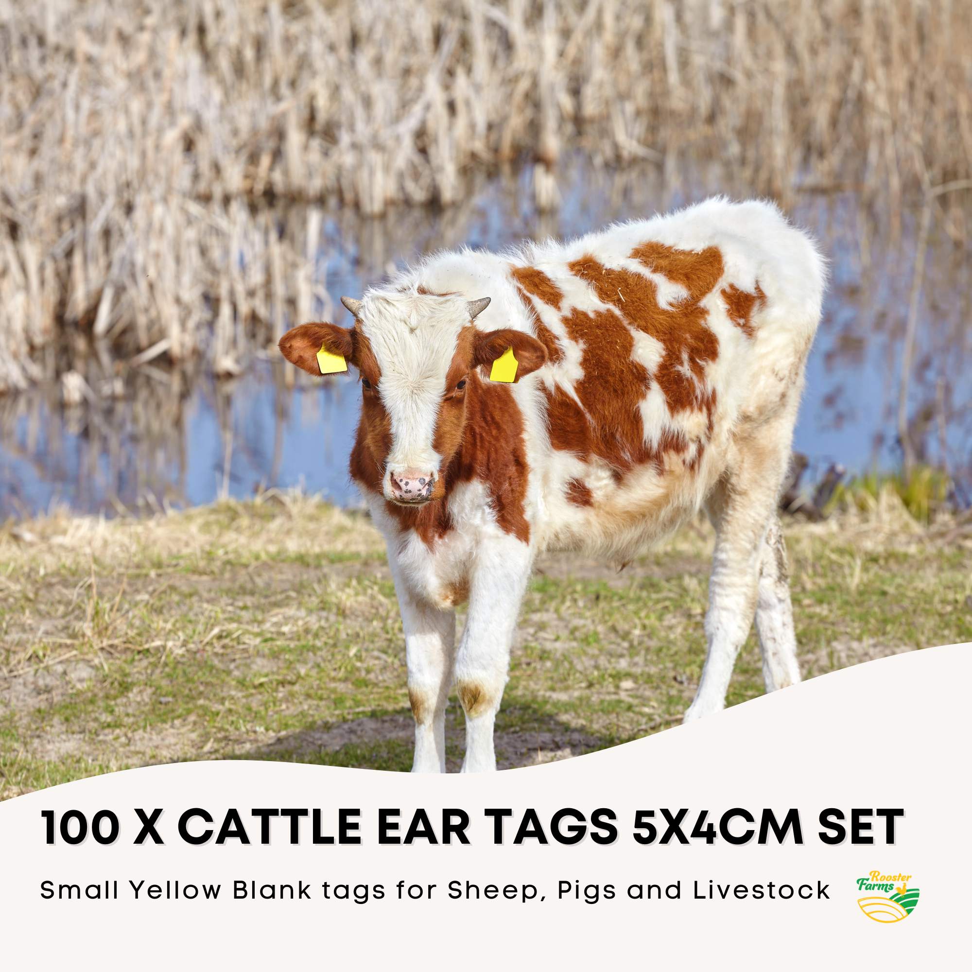 100x Cattle Ear Tags 5x4cm Set - Small Yellow Blank Sheep Pig Livestock Label V238-SUPDZ-21828971495504