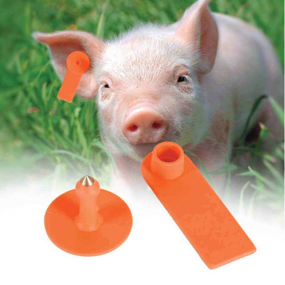 100x Cattle Ear Tags 5x2cm Set - Mini Orange Blank Pig Goat Livestock Label V238-SUPDZ-21829039751248