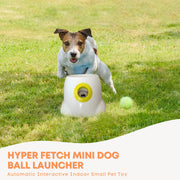 Hyper Fetch Mini Dog Ball Launcher - Automatic Interactive Indoor Small Pet Toy V238-SUPDZ-25706217286
